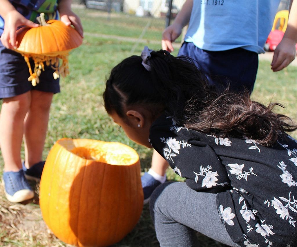 Pumpkin Fun!